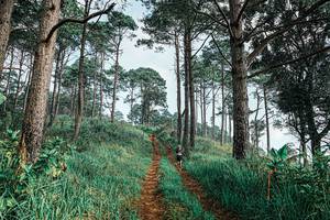 BIB: 
                            <button type="button" onclick="openModal(25652326)" class="btn btn-primary btn-sm float-right btn-popup" data-toggle="modal" data-target=".modal-high-quality">
                        <i class="fas fa-shopping-cart"></i> Add to Cart
                    </button>
                                            <button type="button" onclick="isThisMe(25652326, true)" class="btn btn-success btn-sm float-right btn-popup btn-isme hidden" data-toggle="tooltip" data-placement="bottom" title="นี่คือรูปของคุณใช่ไหม คลิกที่นี่เพื่อเอาเข้าอัลบั้ม">
                        <i class="fas fa-plus"></i> Add to album
                    </button>
                    <button type="button" onclick="isThisMe(25652326, false)" class="btn btn-warning btn-sm float-right btn-popup btn-isnotme hidden">
                        <i class="fas fa-ban"></i> Remove from album
                    </button>